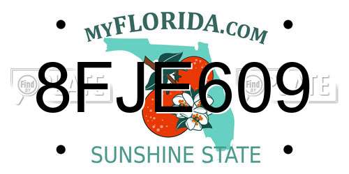 8FJE609 Florida License Plate
