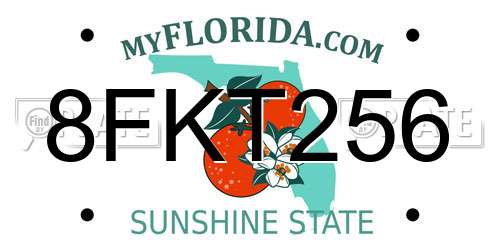 8FKT256 Florida License Plate