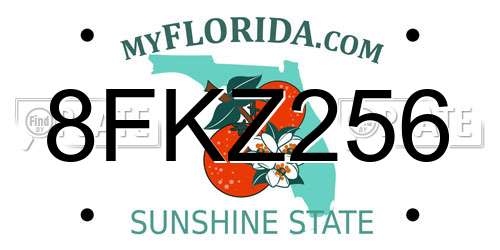 8FKZ256 Florida License Plate