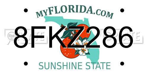 8FKZ286 Florida License Plate