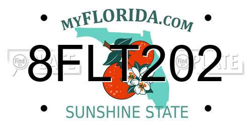 8FLT202 Florida License Plate