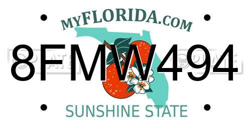 8FMW494 Florida License Plate