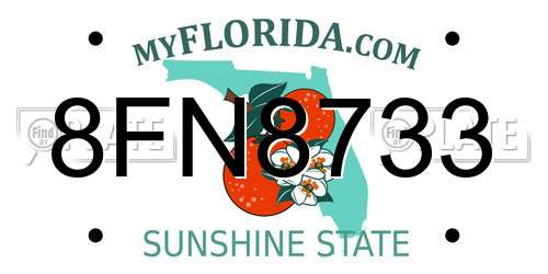 8FN8733 Florida License Plate