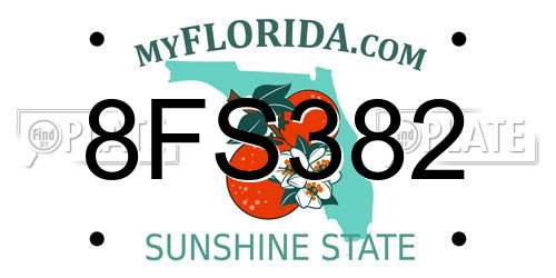 8FS382 Florida License Plate