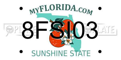 8FSI03 Florida License Plate