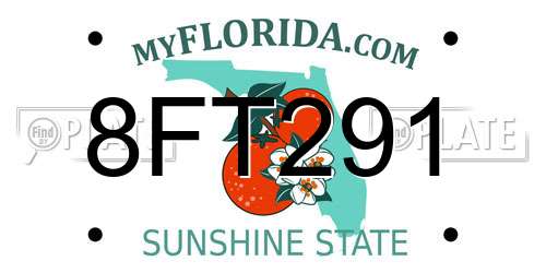8FT291 Florida License Plate