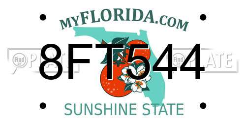 8FT544 Florida License Plate