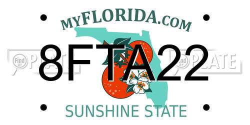 8FTA22 Florida License Plate