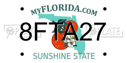 8FTA27 Florida License Plate