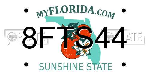 8FTS44 Florida License Plate