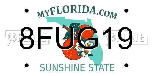 8FUG19 Florida License Plate