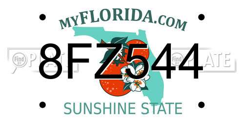 8FZ544 Florida License Plate
