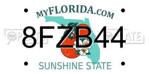 8FZB44 Florida License Plate