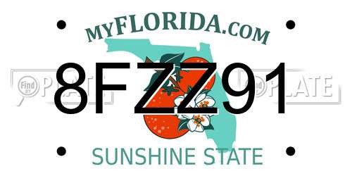 8FZZ91 Florida License Plate
