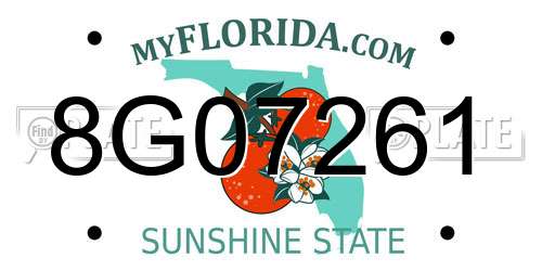8G07261 Florida License Plate
