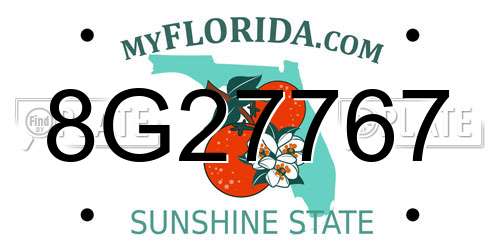 8G27767 Florida License Plate