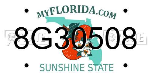 8G30508 Florida License Plate