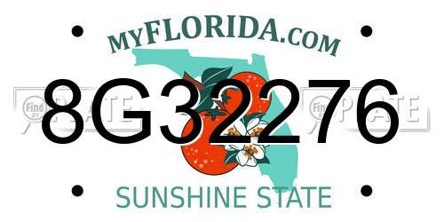 8G32276 Florida License Plate