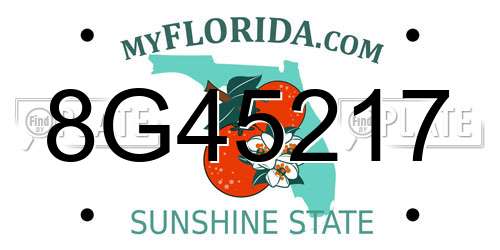 8G45217 Florida License Plate