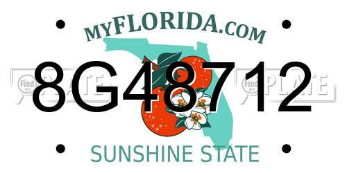 8G48712 Florida License Plate
