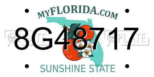 8G48717 Florida License Plate