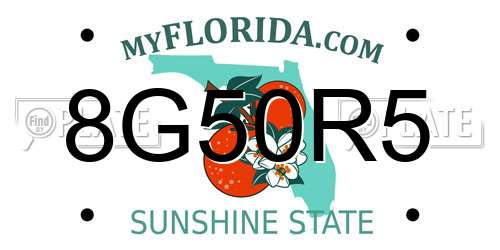 8G50R5 Florida License Plate