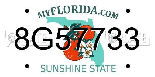 8G57733 Florida License Plate