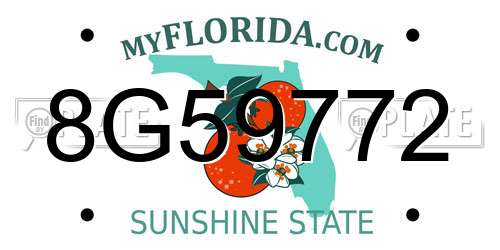 8G59772 Florida License Plate