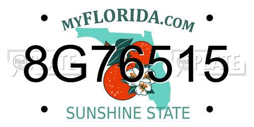 8G76515 Florida License Plate
