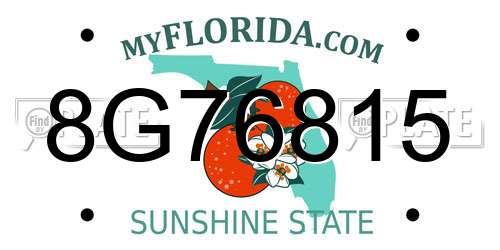 8G76815 Florida License Plate