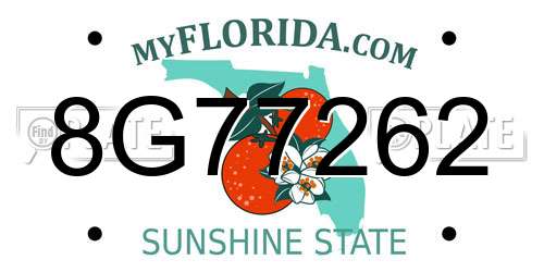 8G77262 Florida License Plate