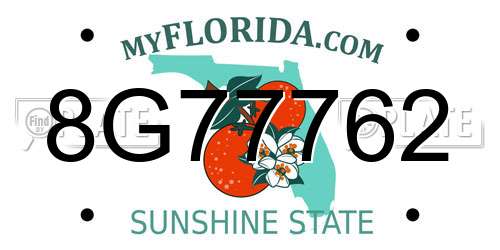 8G77762 Florida License Plate