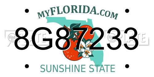 8G87233 Florida License Plate