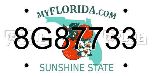 8G87733 Florida License Plate