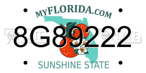 8G89222 Florida License Plate