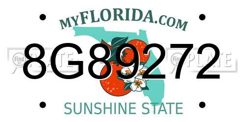 8G89272 Florida License Plate