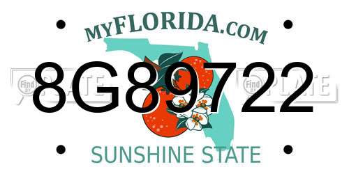 8G89722 Florida License Plate
