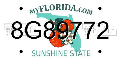 8G89772 Florida License Plate
