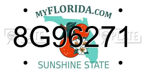 8G96271 Florida License Plate