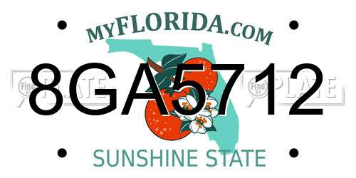 8GA5712 Florida License Plate