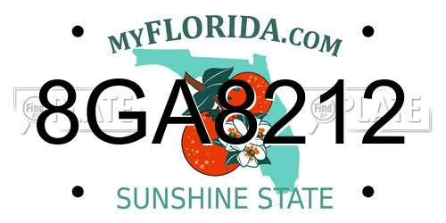 8GA8212 Florida License Plate