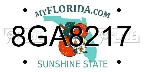 8GA8217 Florida License Plate