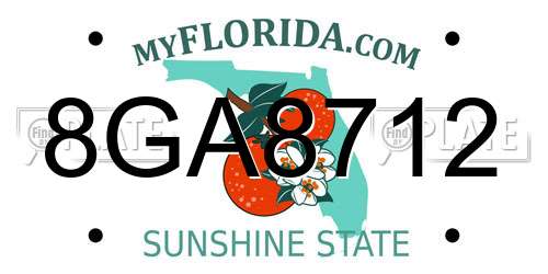 8GA8712 Florida License Plate