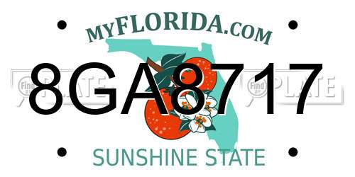 8GA8717 Florida License Plate