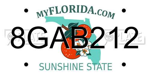 8GAB212 Florida License Plate