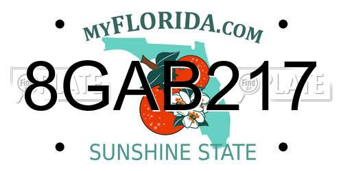 8GAB217 Florida License Plate