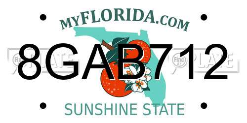 8GAB712 Florida License Plate