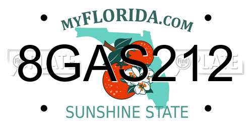 8GAS212 Florida License Plate