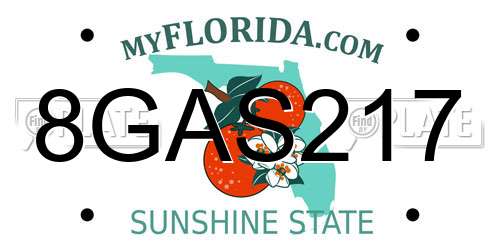 8GAS217 Florida License Plate