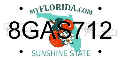 8GAS712 Florida License Plate